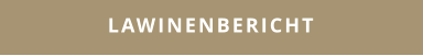 LAWINENBERICHT